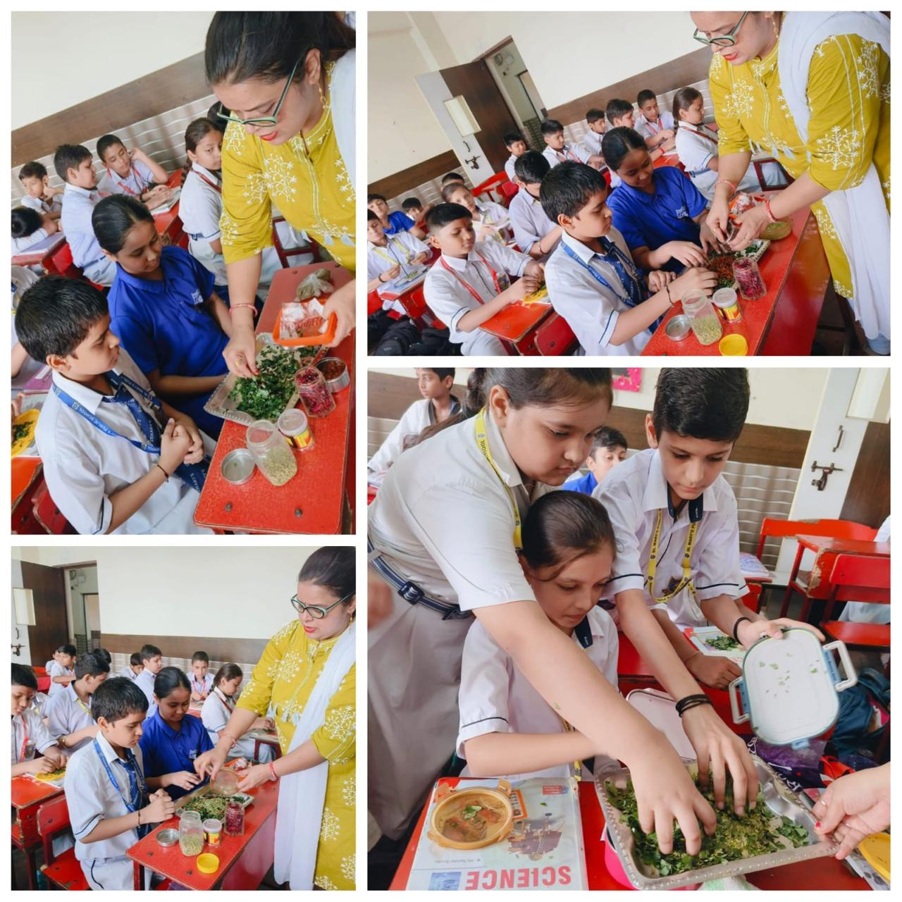 Making of Mukhwas (mouth freshner) with paan leaves: Activity done by ...